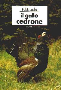 LADINI FABIO, GALLO CEDRONE