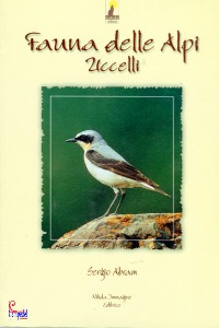 Ingrandisci immagine