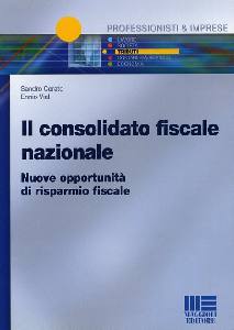 CERATO-VIAL, Il consolidato fiscale nazionale