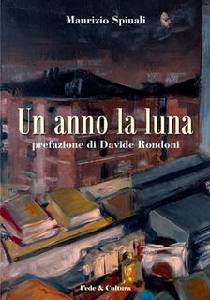 SPINALI MAURIZIO, Un anno di luna