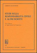 UMBERTO SALVESTRONI, STUDI SULLA RESPONSABILITA