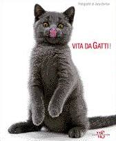 Burton Jane, Vita da gatti