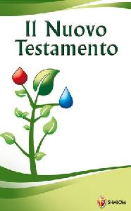 CEI, Il nuovo testamento