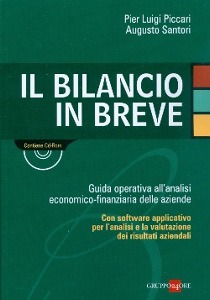 PICCARI - SANTORI, Il bilancio in breve