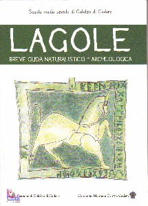 Ingrandisci immagine