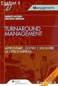 FAZZINI-ABRIANI, Turnaround management