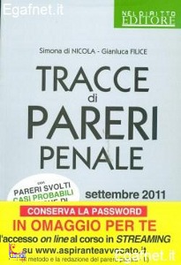 DI NICOLA - FILICE, Tracce di pareri penale
