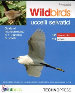 Ingrandisci immagine