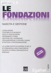 GUZZI DAVIDE, Le fondazioni Nascita e gestione