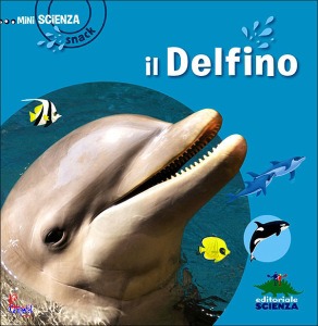 GRINBERG, Il delfino