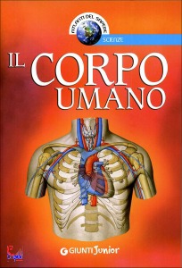 immagine di copertina