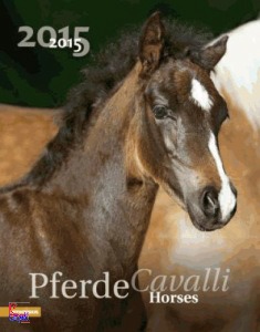 , Pferde Cavalli Horses 2015 . Calendario