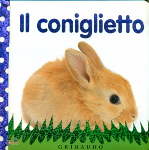 Ingrandisci immagine