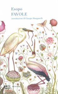 Ingrandisci immagine