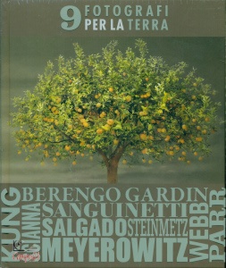 Ingrandisci immagine