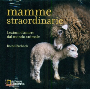 Ingrandisci immagine