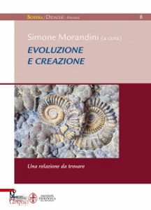 MORANDINI SIMONE /ED, Evoluzione e creazione