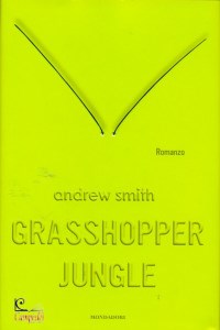 Ingrandisci immagine