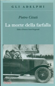 Ingrandisci immagine