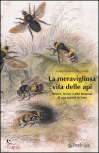 immagine di copertina