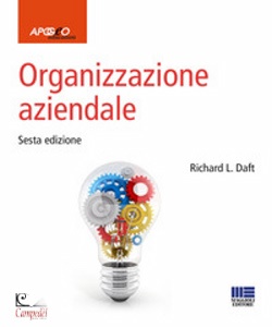 DAFT RICHARD L., Organizzazione aziendale