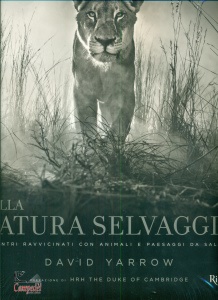 Ingrandisci immagine