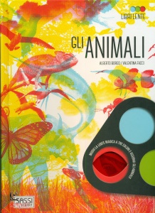 Ingrandisci immagine