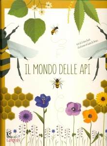 Ingrandisci immagine