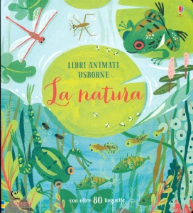 Ingrandisci immagine