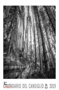 MODOLO MASSIMILIANO, Cansiglio, la foresta nel cuore calendario 2019