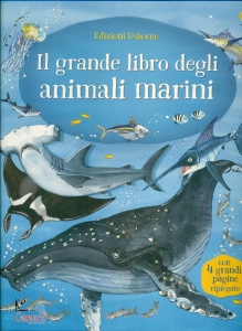 Ingrandisci immagine