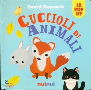 Ingrandisci immagine