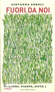 Ingrandisci immagine