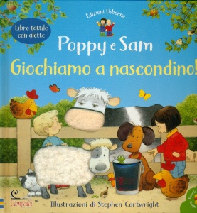 Ingrandisci immagine