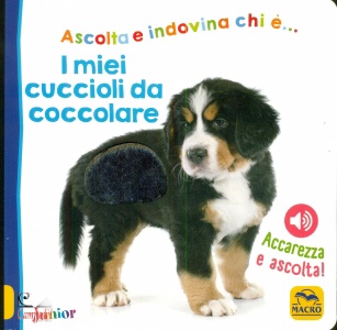 Ingrandisci immagine