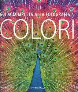 Ingrandisci immagine