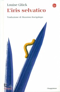 Ingrandisci immagine