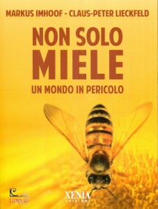 Ingrandisci immagine