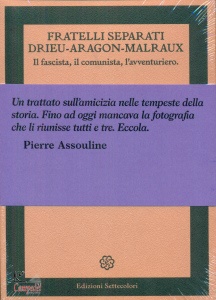 Ingrandisci immagine