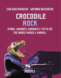 Ingrandisci immagine