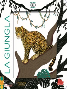 Ingrandisci immagine