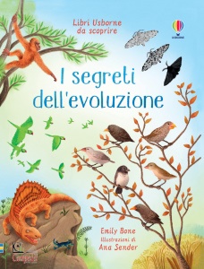 Ingrandisci immagine