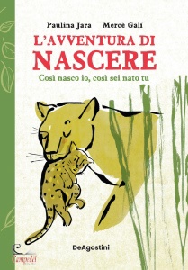 Ingrandisci immagine