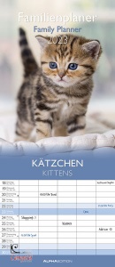 ALPHA EDITION, Family planner 19,5x45 cm kittens 2023