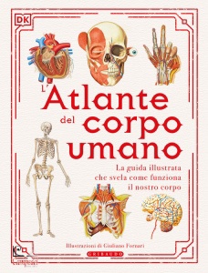 Ingrandisci immagine