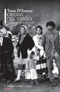 Ingrandisci immagine