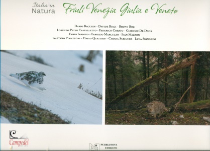 Ingrandisci immagine