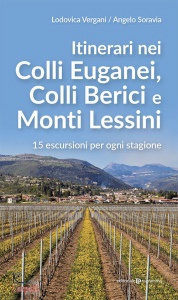 Ingrandisci immagine