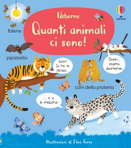 Ingrandisci immagine