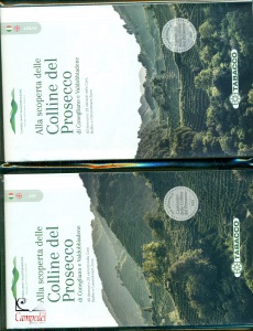 Ingrandisci immagine